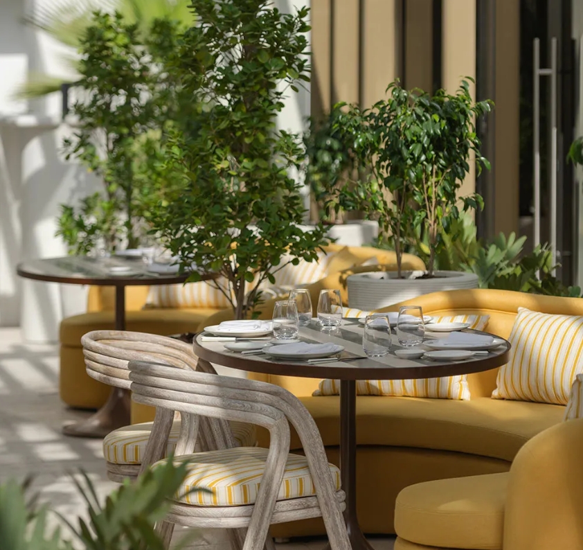 An inviting dining area featuring circular tables surrounded by plush yellow seating and greenery, creating a warm and relaxed atmosphere.