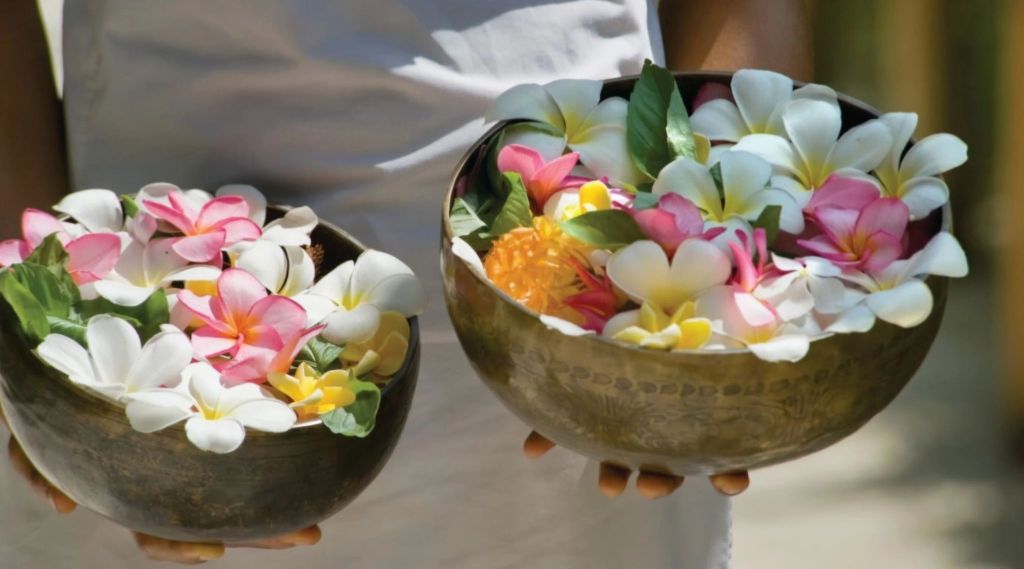 Two bowls filled with vibrant, colorful flowers held by a person, showcasing a mix of white, pink, yellow, and orange petals.