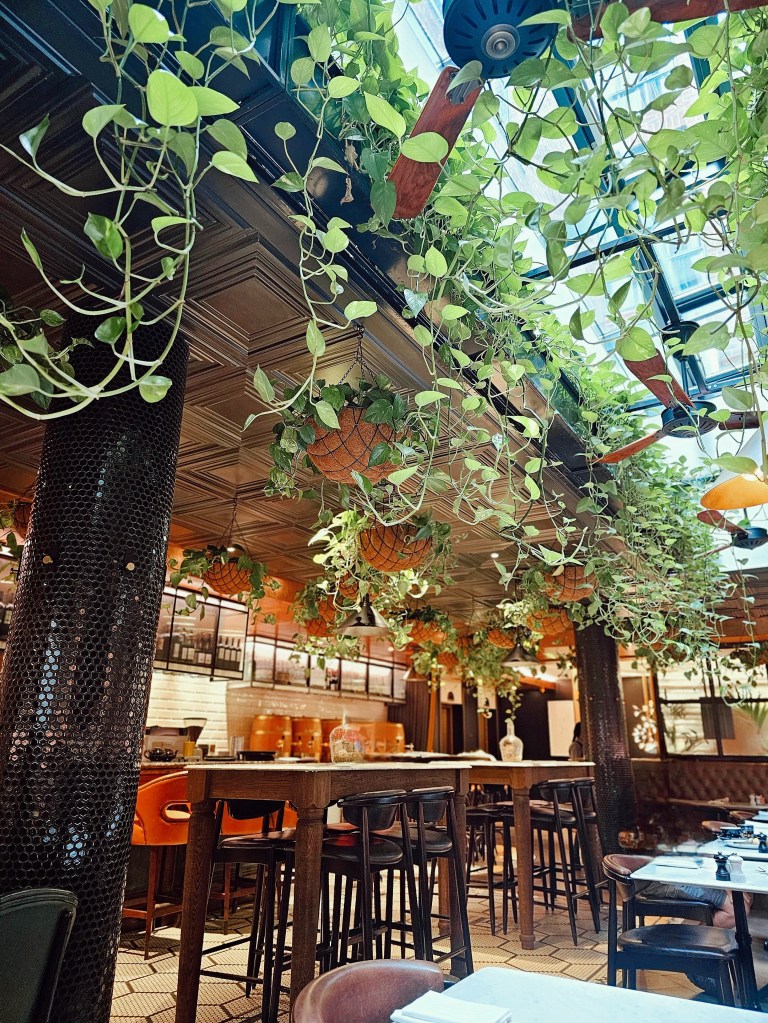 Interior view of a stylish hotel restaurant with hanging plants, wooden tables, and bar stools, creating a warm and inviting atmosphere.