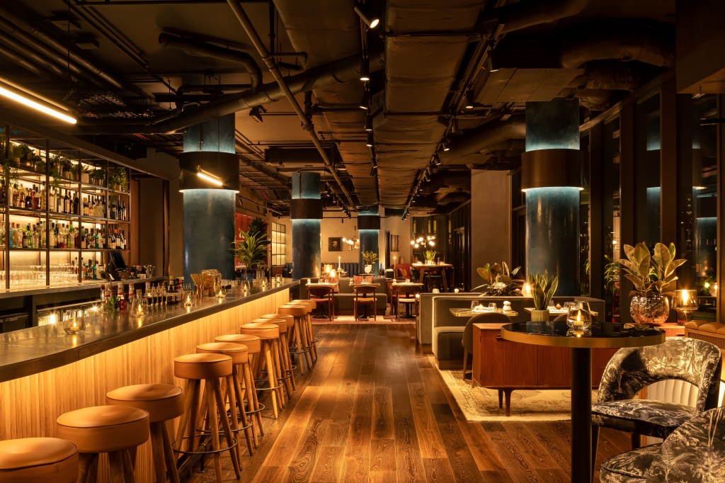 Interior of a stylish bar with a long wooden counter, high stools, and shelves stocked with various spirits. Soft lighting creates an inviting atmosphere, with comfortable seating areas and decorative plants.